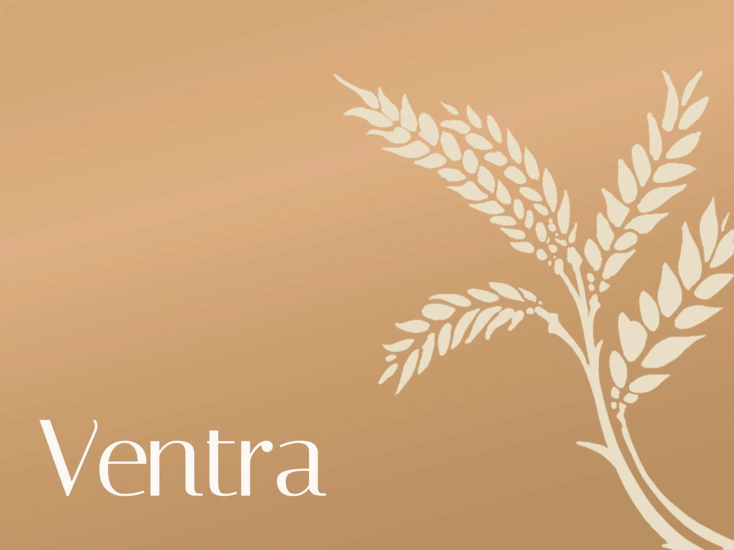 Ventra &mdash; craft, product design and UX design