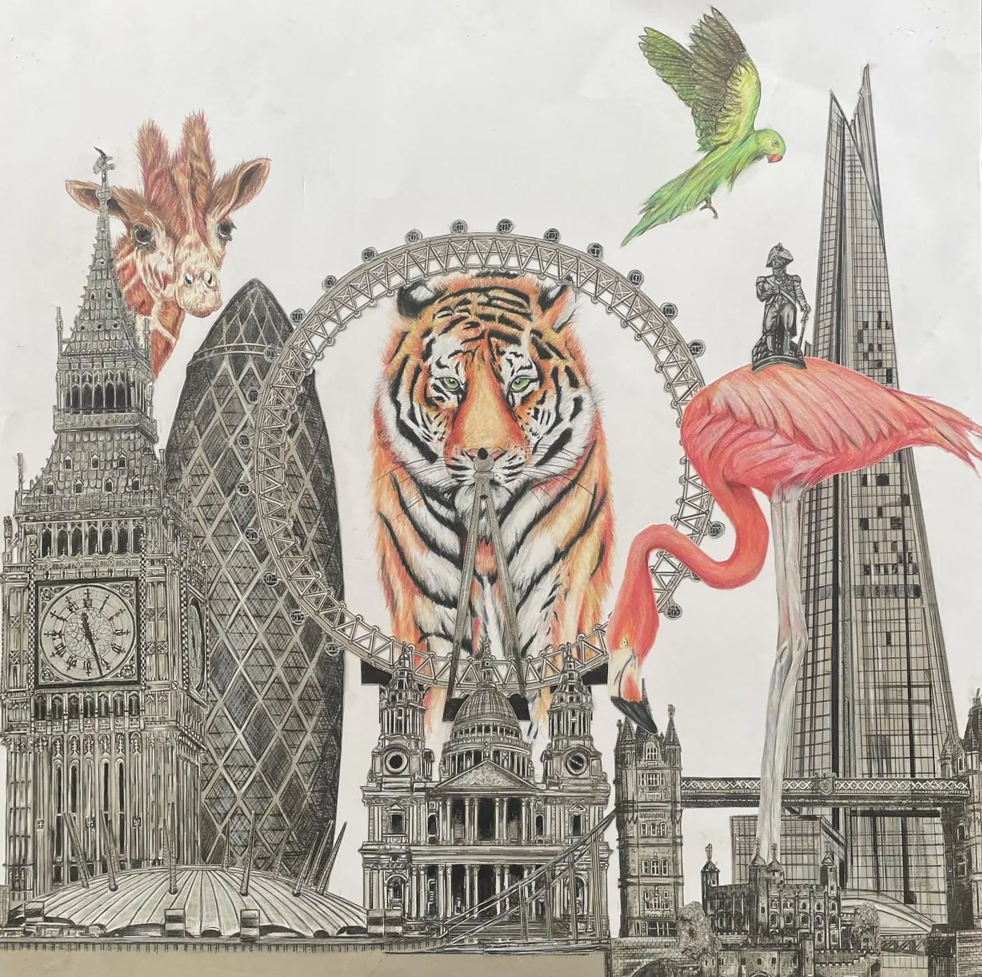 Coloured-pencil and biro composition of London landmarks overrun by a tiger, giraffe, flamingo and parakeet