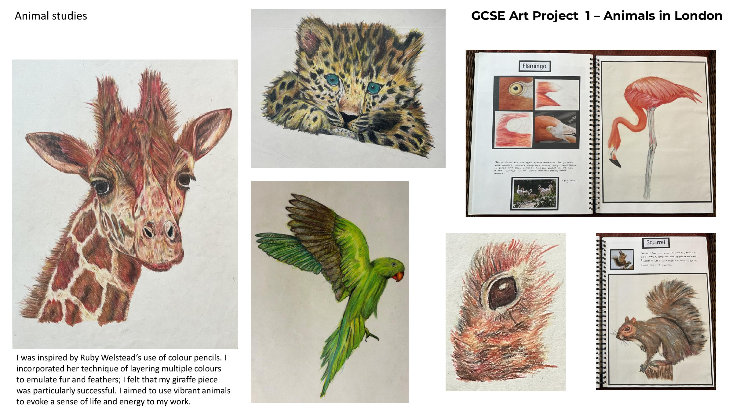 Portfolio 2024, page 10 of 25