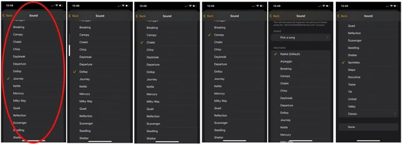 Six iPhone alarm sound screens, with Journey selected