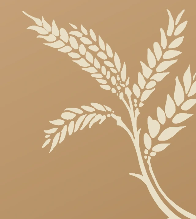 The Ventra brandmark: an ear of wheat straw in cream on a harvest tan ground